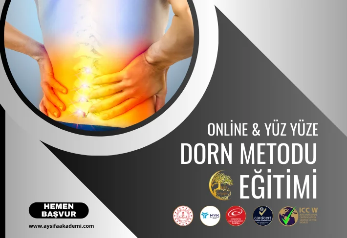 Dorn Metodu Eğitimi